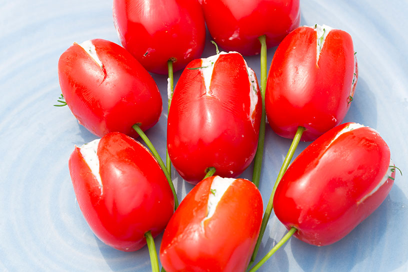 Gevulde pruimtomaatjes met roomkaas die op tulpen lijken